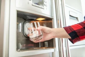 Leaky Ice Maker - #1 Appliance Repair in Toronto, & The GTA.