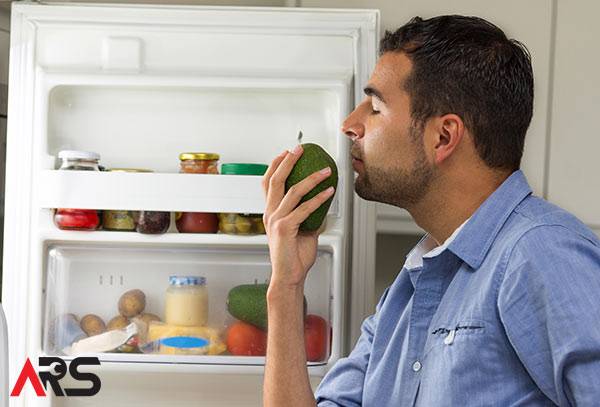 The Hidden Areas That Are Making Your Refrigerator Smell