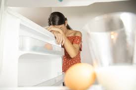 The 5 Most Common Refrigerator Faults of 2024